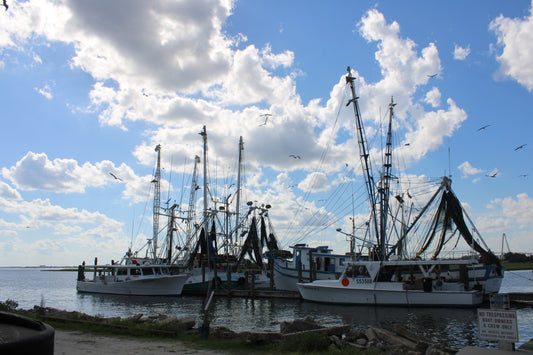 Boat Dock